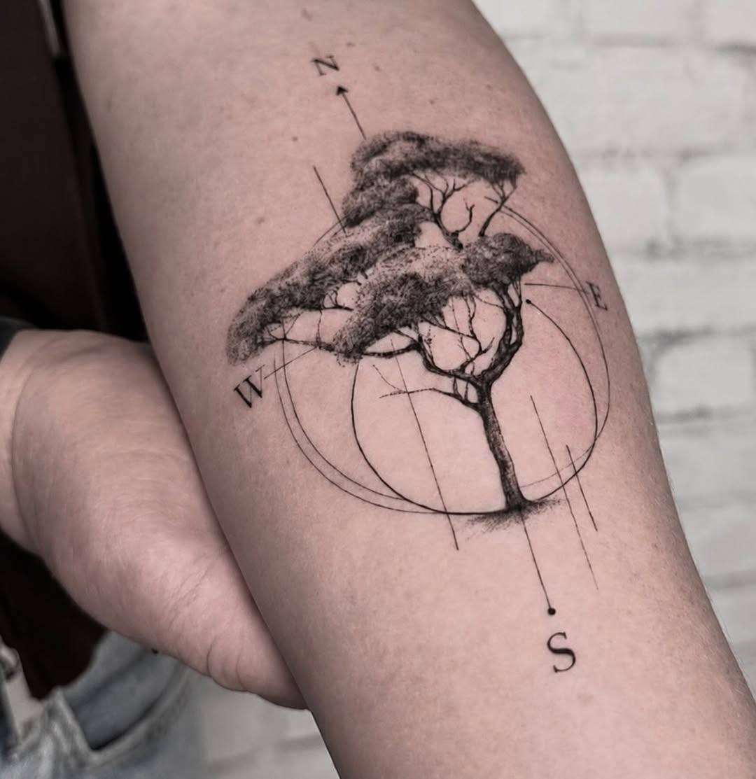 Drzewo · kompas — łydka
